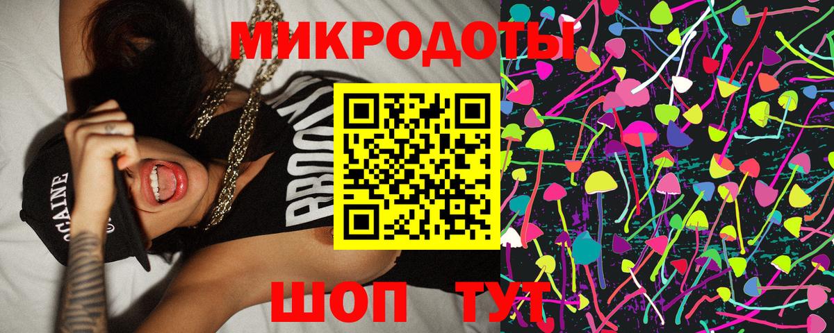 Советск  Псилоцибиновые грибы Psilocybe  Вход с VPN 