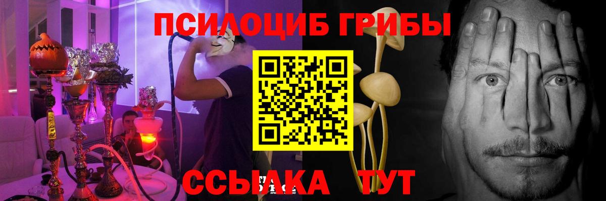 Псилоцибиновые грибы Psilocybine cubensis Советск